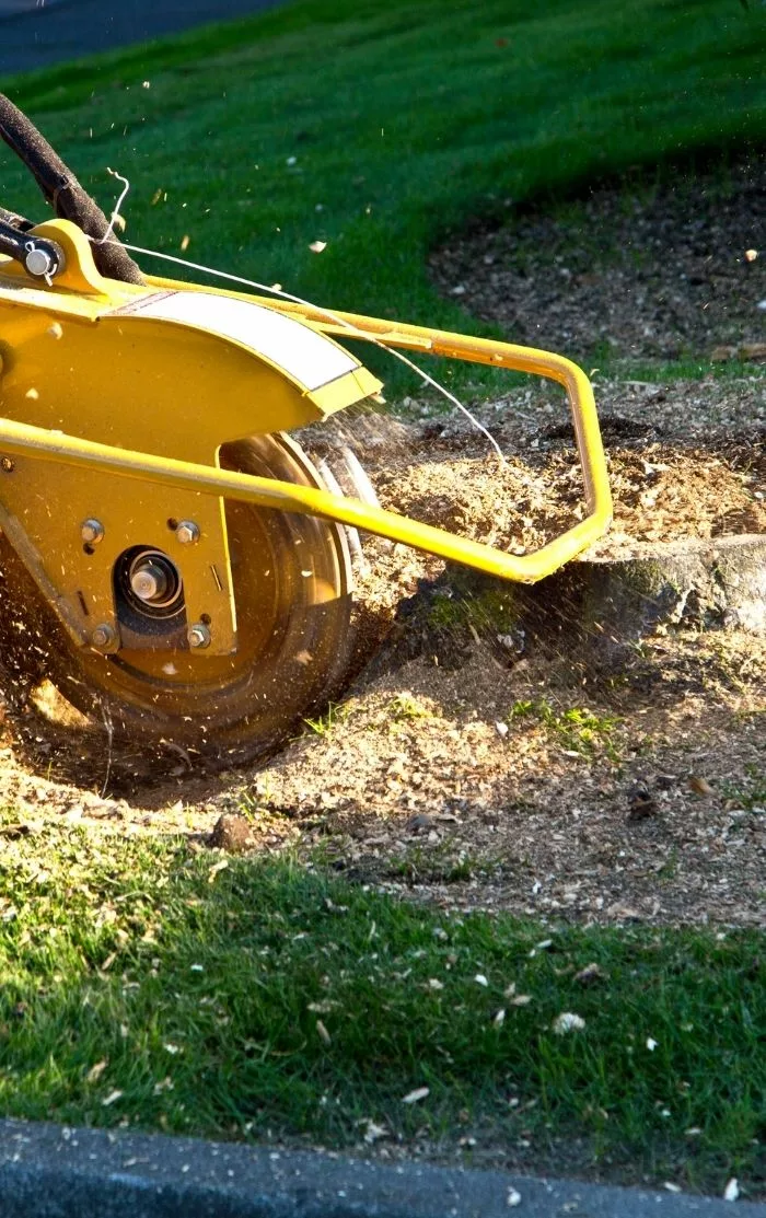 Entreprise pour extraction de souches d'arbres à Toulousee Entreprise pour extraction de souches d'arbres à Toulousee