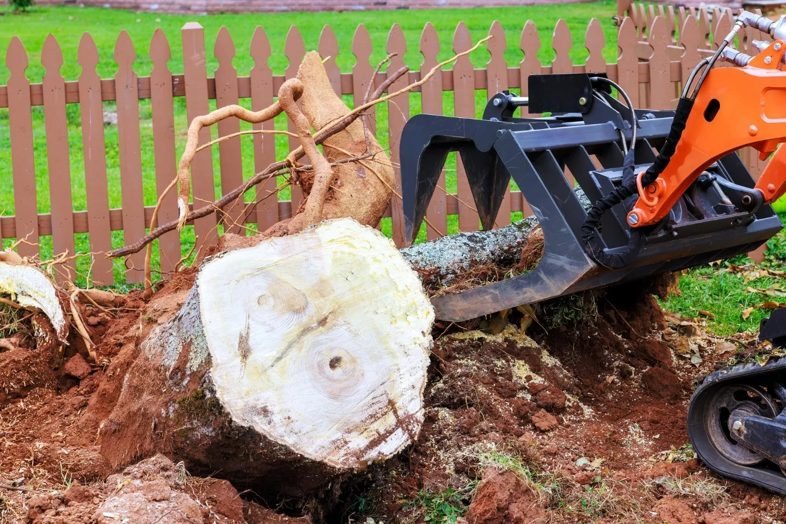 Matériel et équipe expérimenté pour dessouchage Matériel et équipe expérimenté pour dessouchage